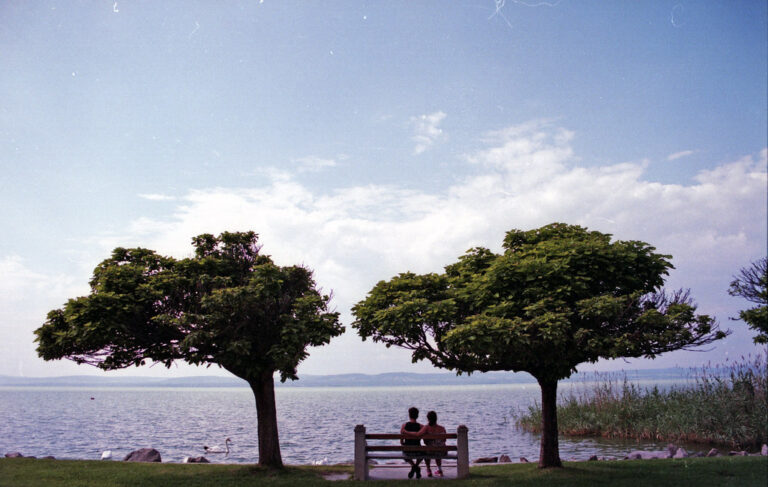 Two people relaxing on a bench under leafy trees beside a calm lake