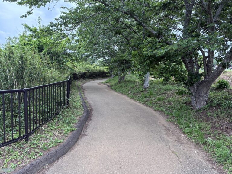 Quiet paved walking trail lined with green trees and a black fence in a park