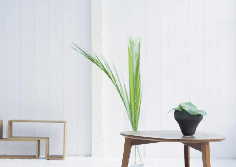 Bright white living room corner with a green houseplant on a small wooden table