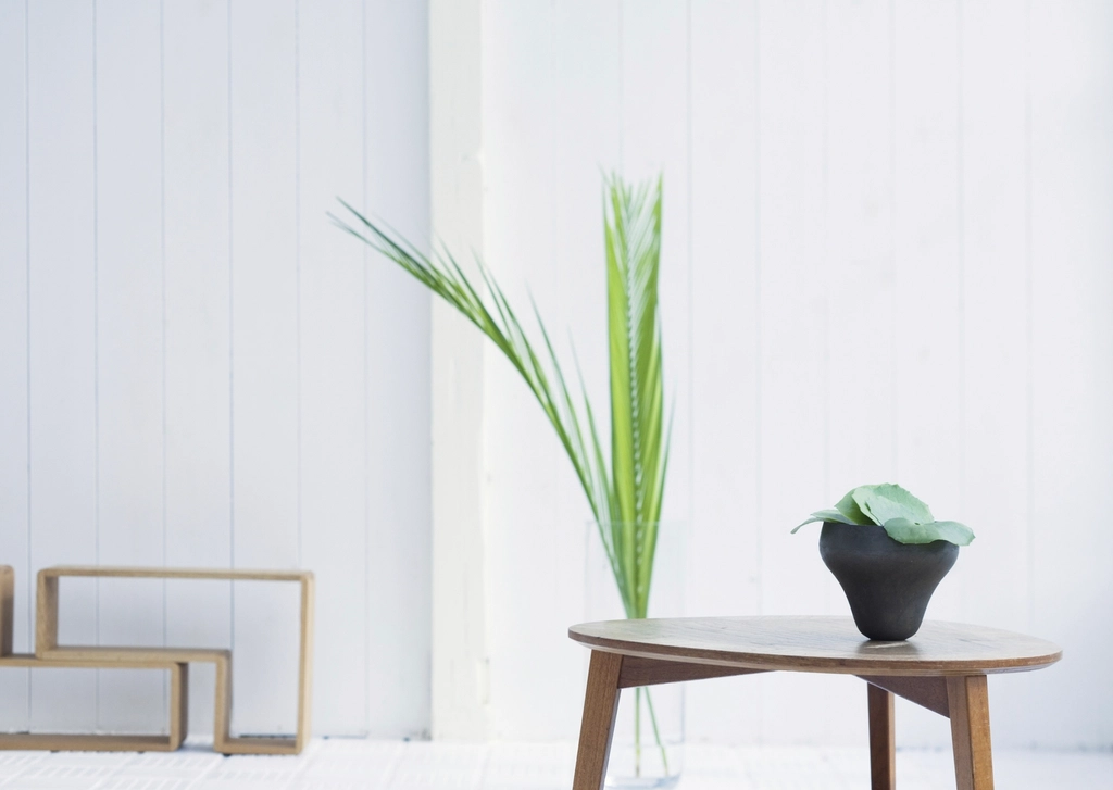 Bright white living room corner with a green houseplant on a small wooden table